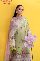 BASIL - Designersforumofficial